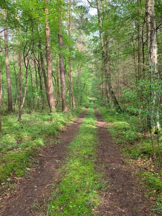 Eldenholz Fewo8 Waren  Exteriér fotografie